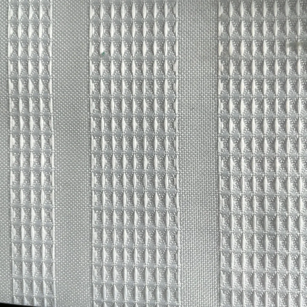 New White Shower Curtain and Hooks
